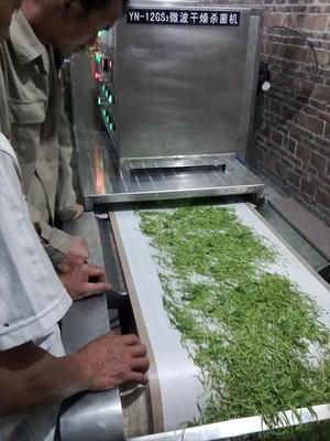 金銀花烘干殺青設備與微波干燥設備的技術優勢與應用分析